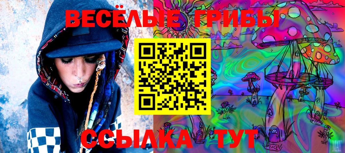 Псилоцибиновые грибы Cubensis Клин
