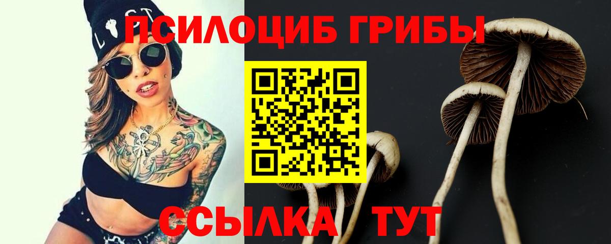 Клин  Галлюциногенные грибы мицелий  Галлюциногенные грибы прущие грибы  сколько стоит  Вход с VPN 