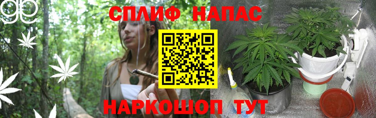Конопля конопля  Марихуана ГИДРОПОН  Клин  Вход с VPN  Канабис планчик 
