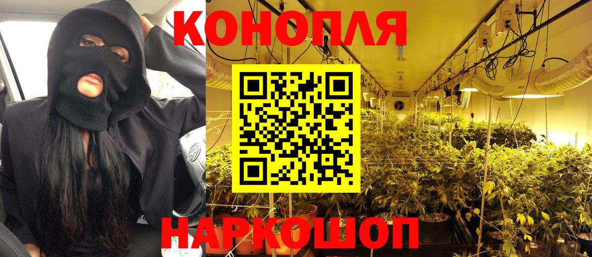 Конопля SATIVA & INDICA Клин